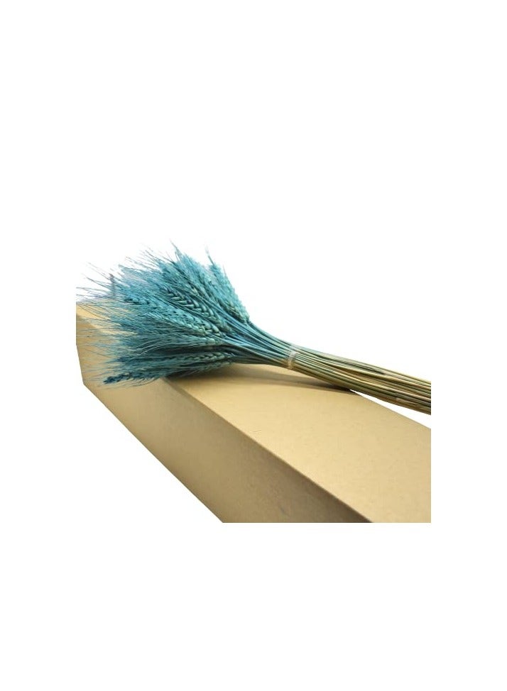 FANCY FLOWERS Fancy Dry Wheat Grass Bouquet Natural Dried Flowers ( Blue bayou  50) - Image 3